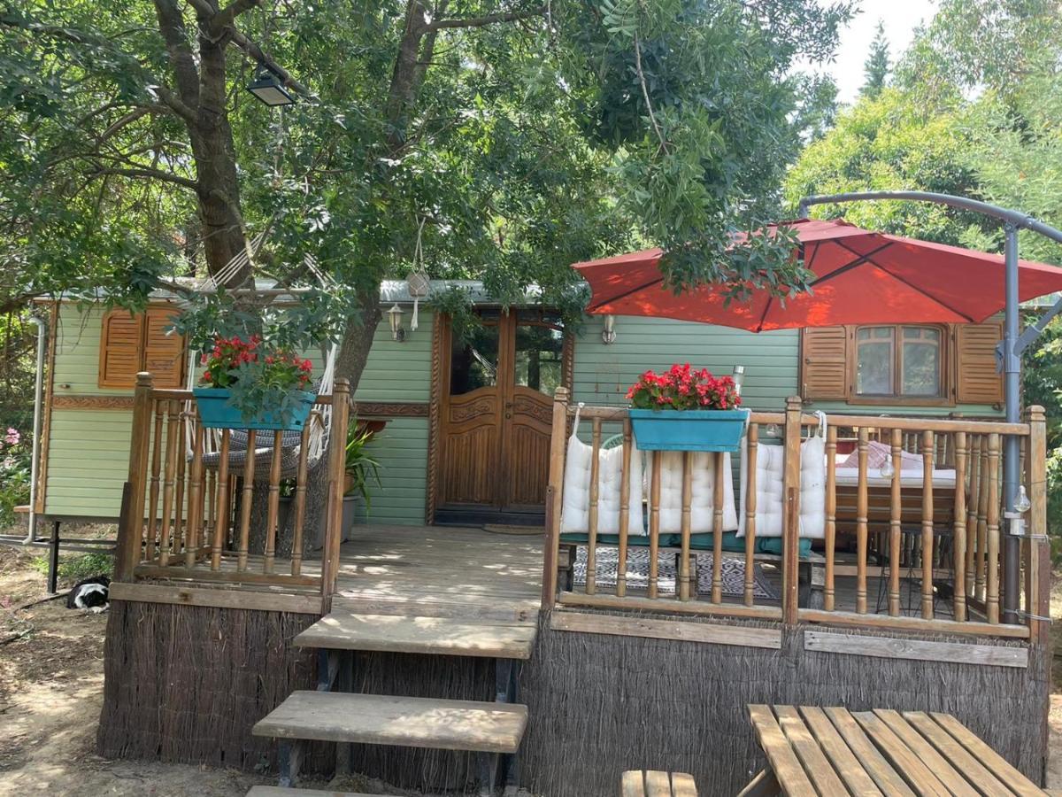 Roulotte En Bois Sud France Pension Le Soler Buitenkant foto