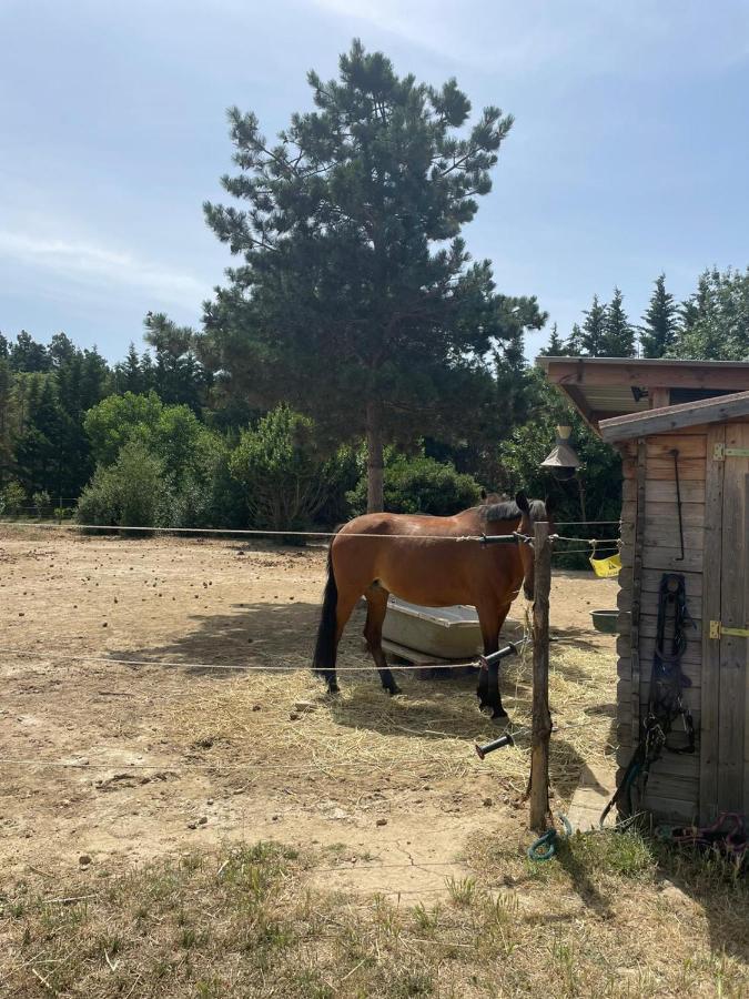 Roulotte En Bois Sud France Pension Le Soler Buitenkant foto