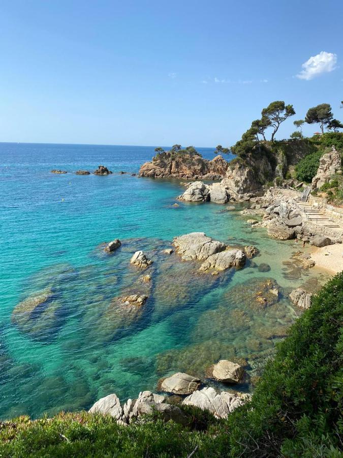 Roulotte En Bois Sud France Pension Le Soler Buitenkant foto