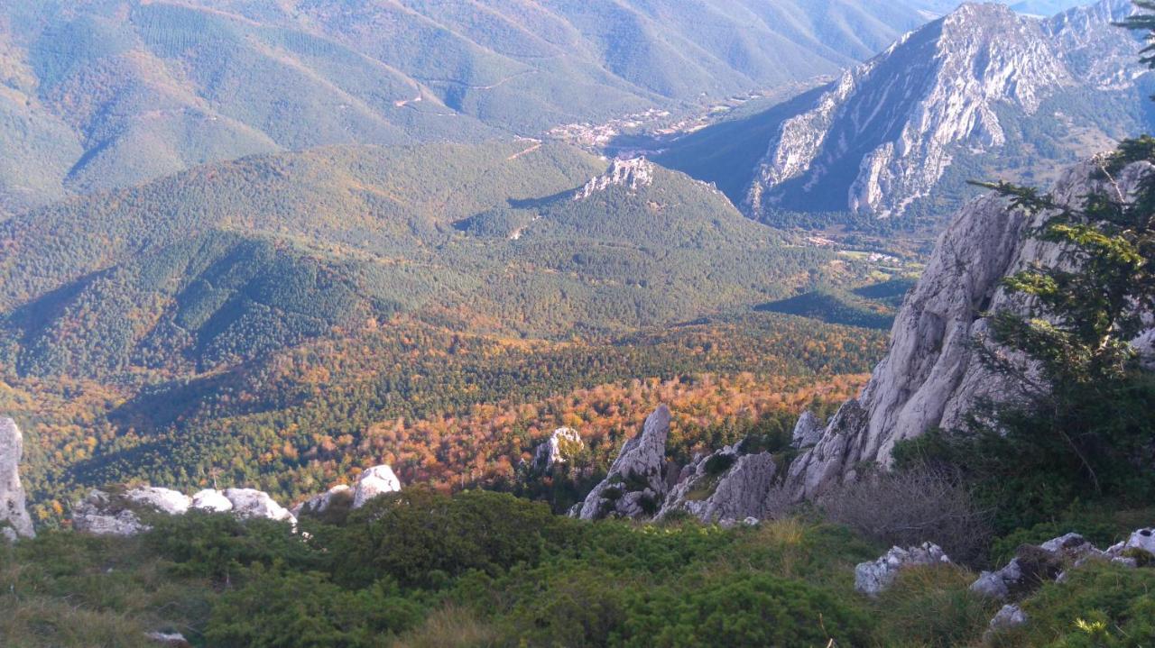 Roulotte En Bois Sud France Pension Le Soler Buitenkant foto