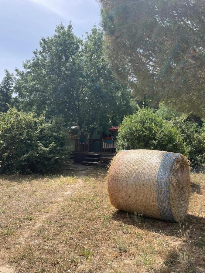 Roulotte En Bois Sud France Pension Le Soler Buitenkant foto