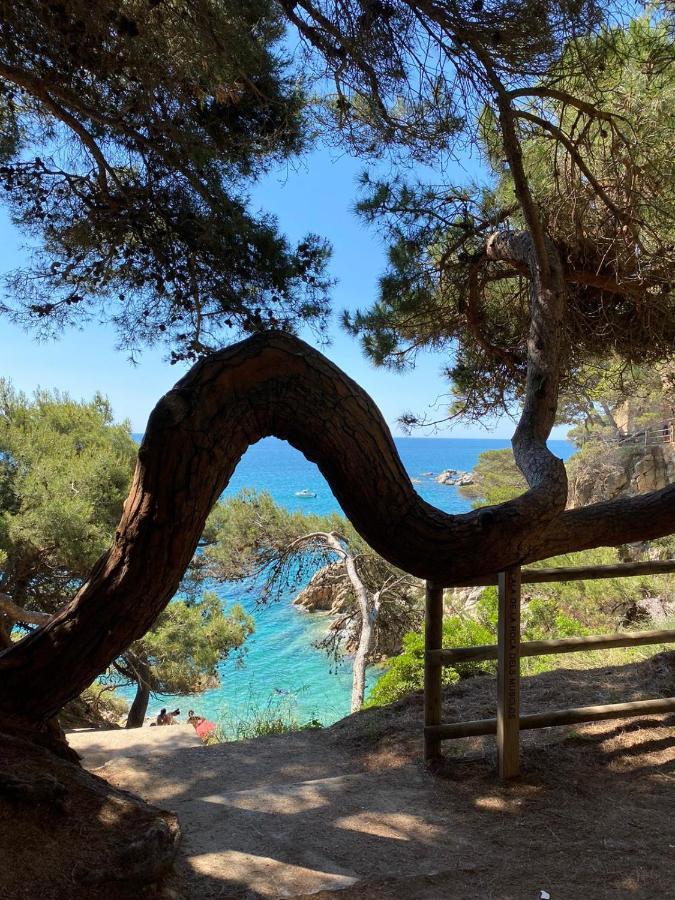 Roulotte En Bois Sud France Pension Le Soler Buitenkant foto