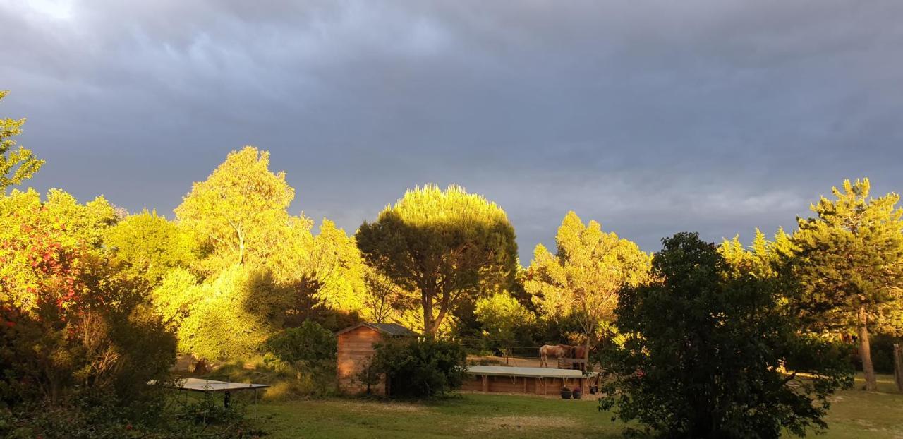 Roulotte En Bois Sud France Pension Le Soler Buitenkant foto