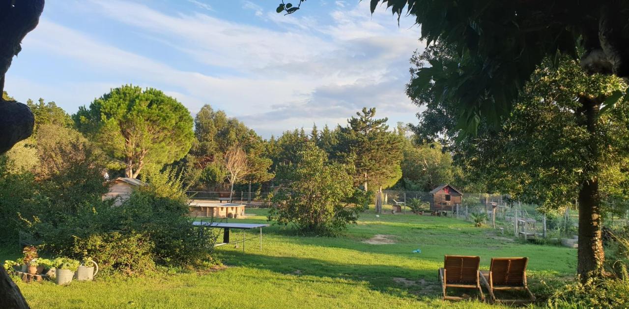 Roulotte En Bois Sud France Pension Le Soler Buitenkant foto